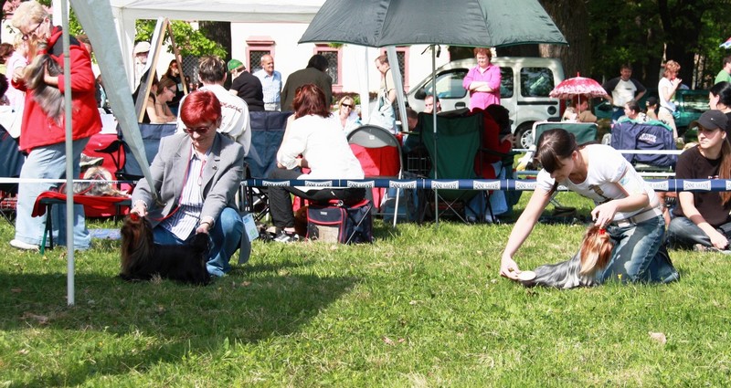 Cheilla Prima Grichia