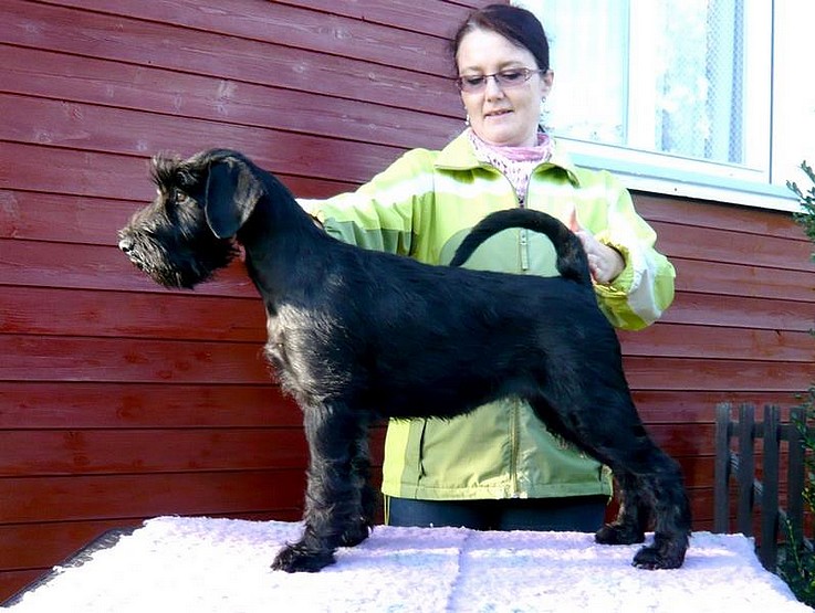4 months old