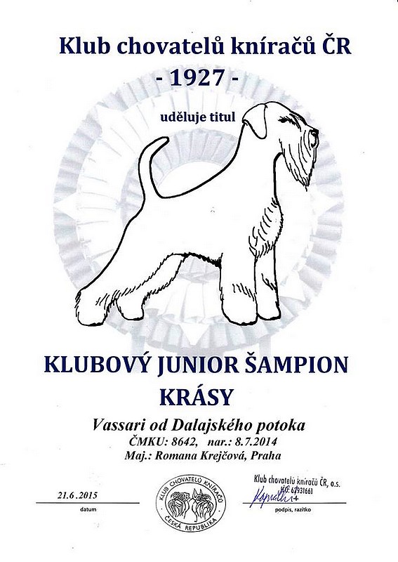 Junior Sampion