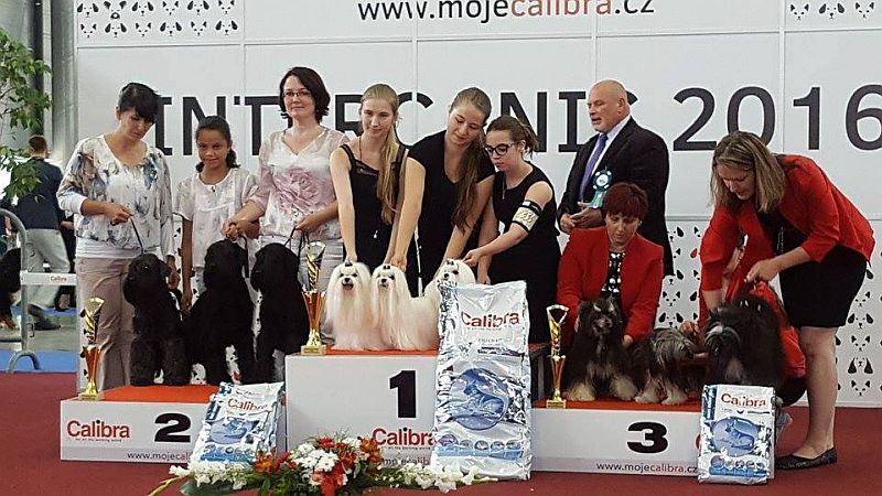 Brno 2016
